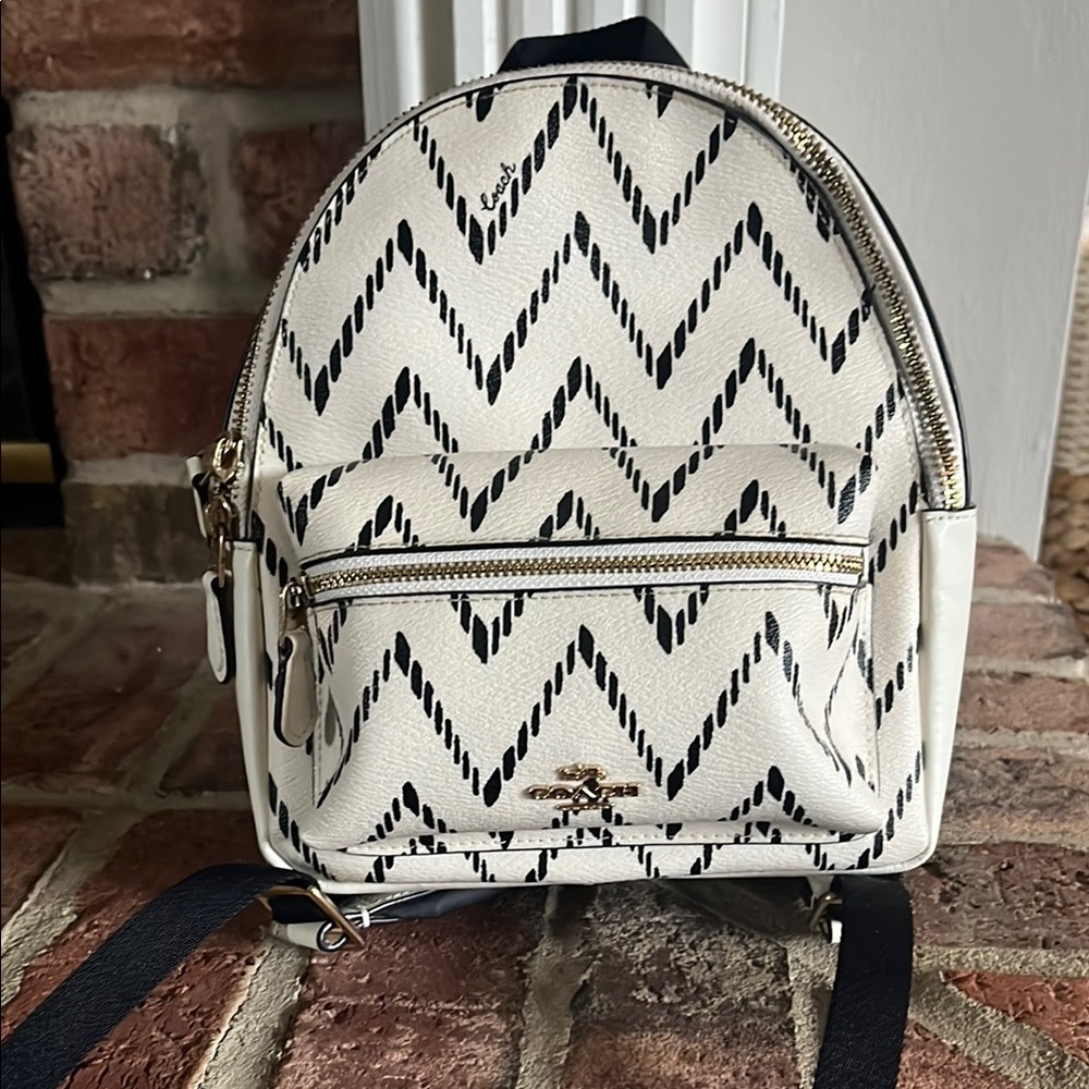 🌟Like New 🌟Coach Black and White Mini Chevron Backpack
